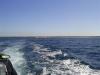 Nepean Heads