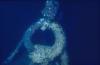 Bow ring from 35m J Class sub