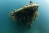 Phillipines Sangat Island
