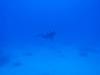 Bikini Atoll & Kwajalein Marshall Islands