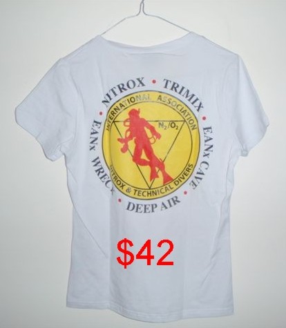 Ladies’ V-neck T-shirt