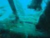 31 m Zero Fighter
