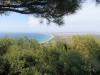 Anzac Cove"'The Neck"