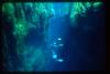 Pics Chasm