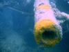 Helmut Wreck
